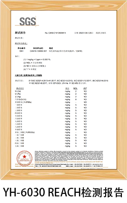 半小时环氧AB胶REACH认证